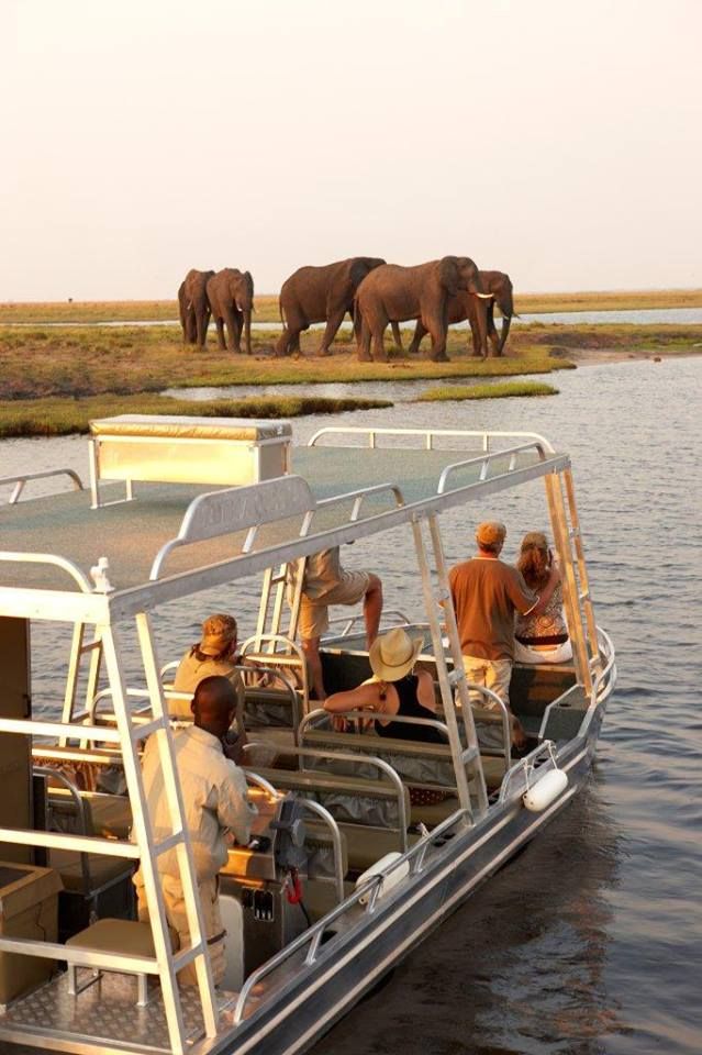 Boat Safari